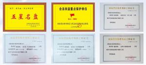 省级荣誉