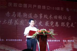 赤壁红太阳花园庆祝建党100周年文艺汇演