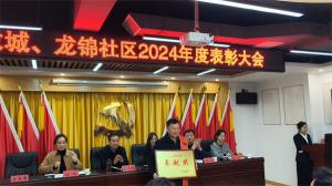 盛世尊龙凯时人生就是搏物业荣获2024年社区表彰大会奖项